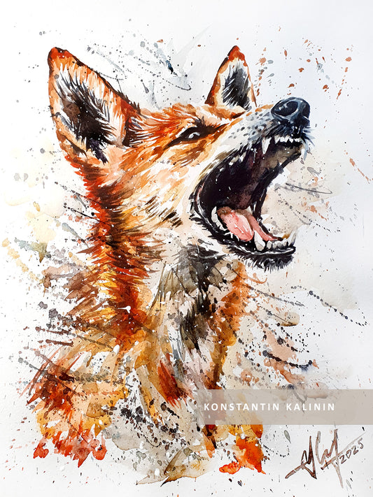 Original "Wild Dingo" - Watercolor Painting (12x16")